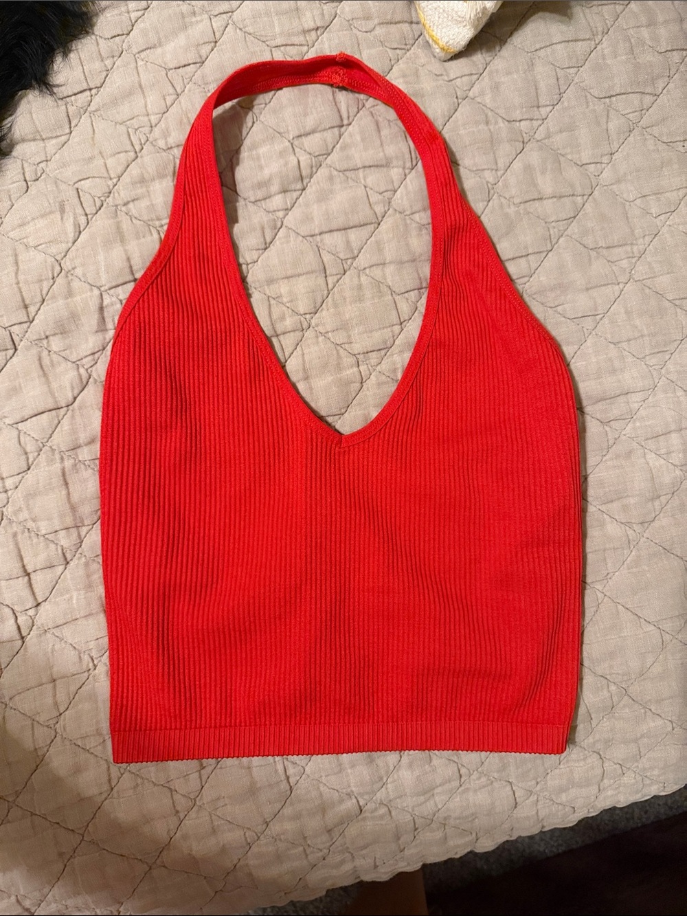 Free People Red Ribbed Halter Crop Top